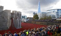 Poppy display at Tower of London